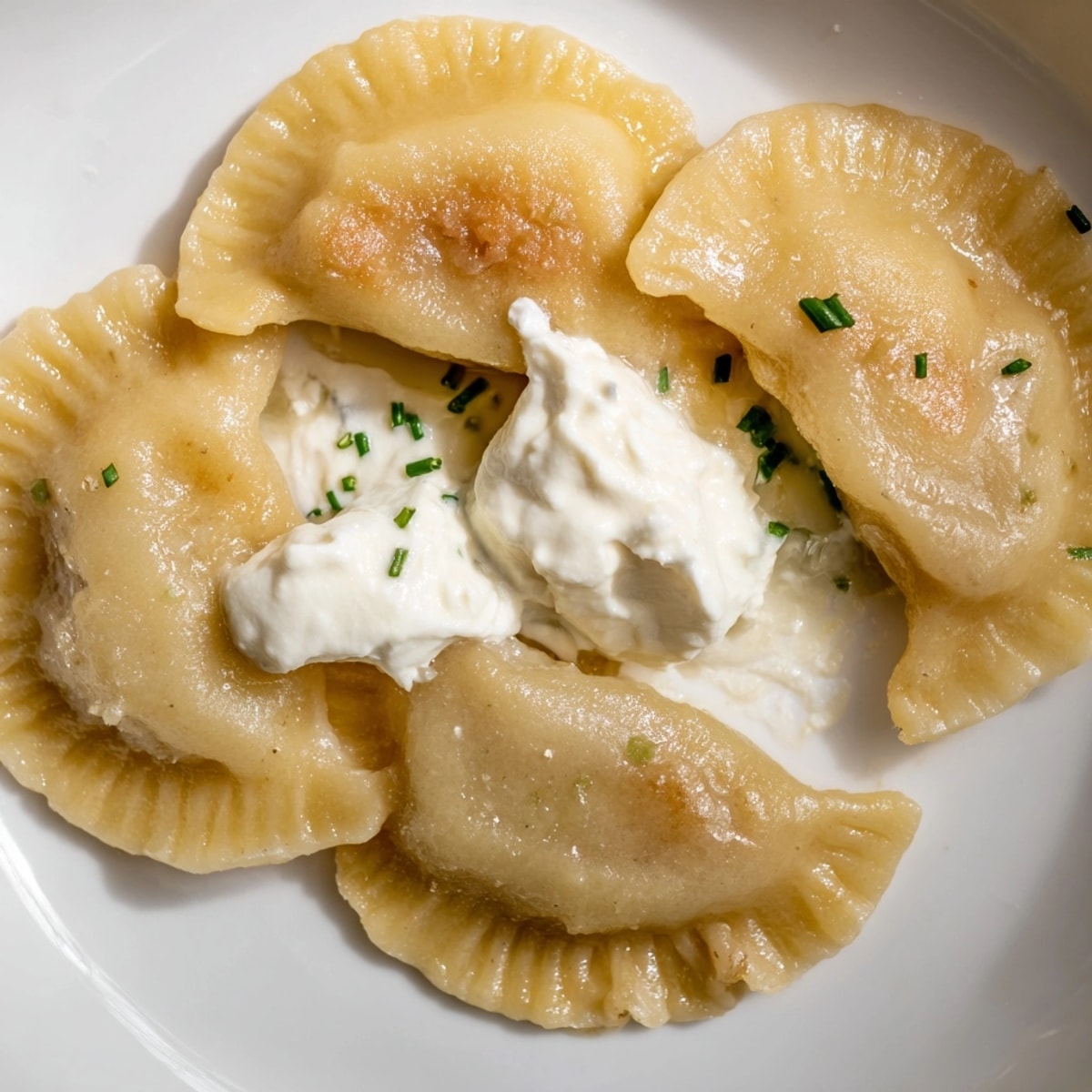 Golden pan-fried Garlic Mashed Potato Pierogi, served warm with cool sour cream and herbs.