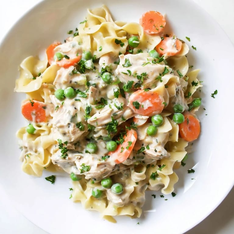 Close up: Luxurious, rich, Creamy Chicken and Egg Noodles, ready for a satisfying supper.